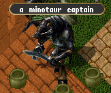 Minotaur captain.gif