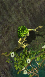 Insane dryadkr.jpg