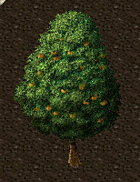Peach tree.png