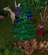 BNN Mayhem in the Hedge Maze - Picture 2.jpg