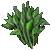 Rushes.png