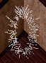Web In Corner.png