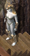 Savage shamankr.png