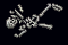 Bones Laying.png
