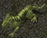 Swamp dragon (verite).jpg